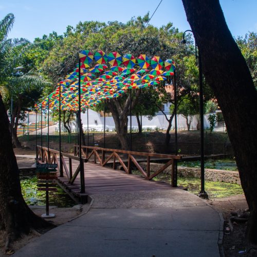 Entre blocos e sabores, Olinda Dá Gosto se firma como ponto gastronômico do Carnaval