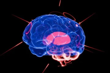 Irã anuncia desenvolvimento de “cérebro artificial” utilizando neurônios vivos